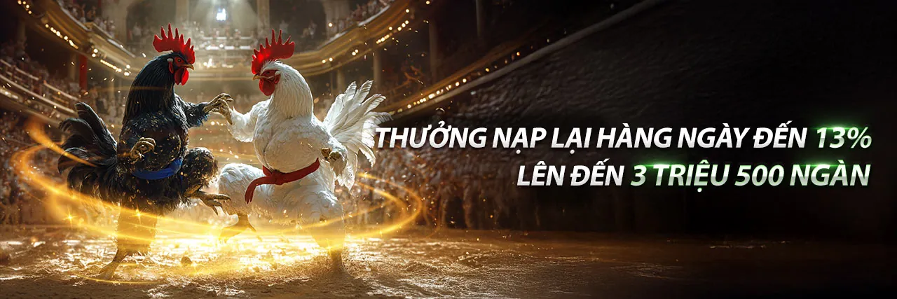 Banner game bắn cá choang nhà cái 2026